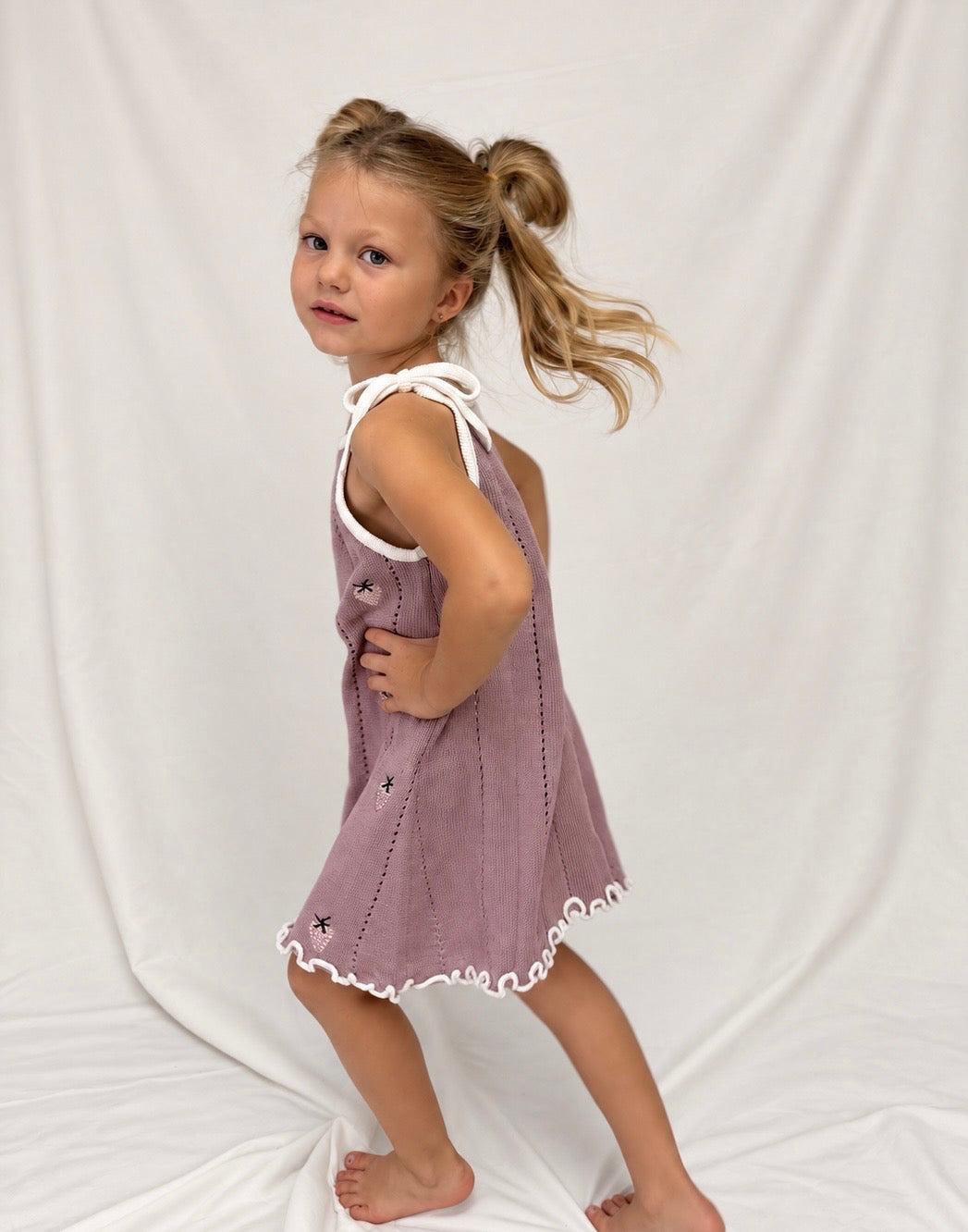 Lavendar Berry Dress